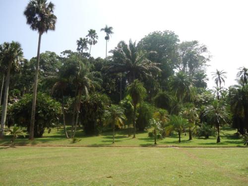 DSC08605